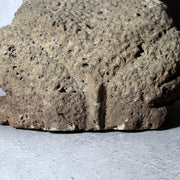 Japanese Carved Porous Stone Frog Sculpture Garden Ornament BT25615