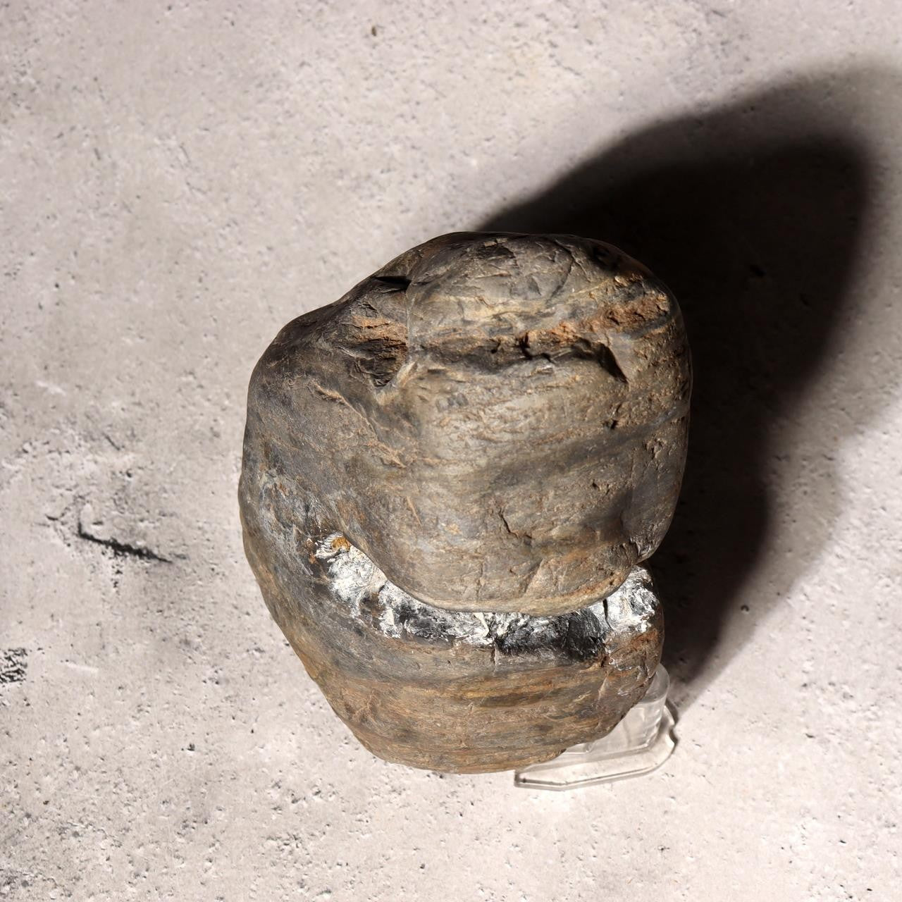 Japanese Suiseki Viewing Stone Natural River Rock White Vein Rustic Zen Art6