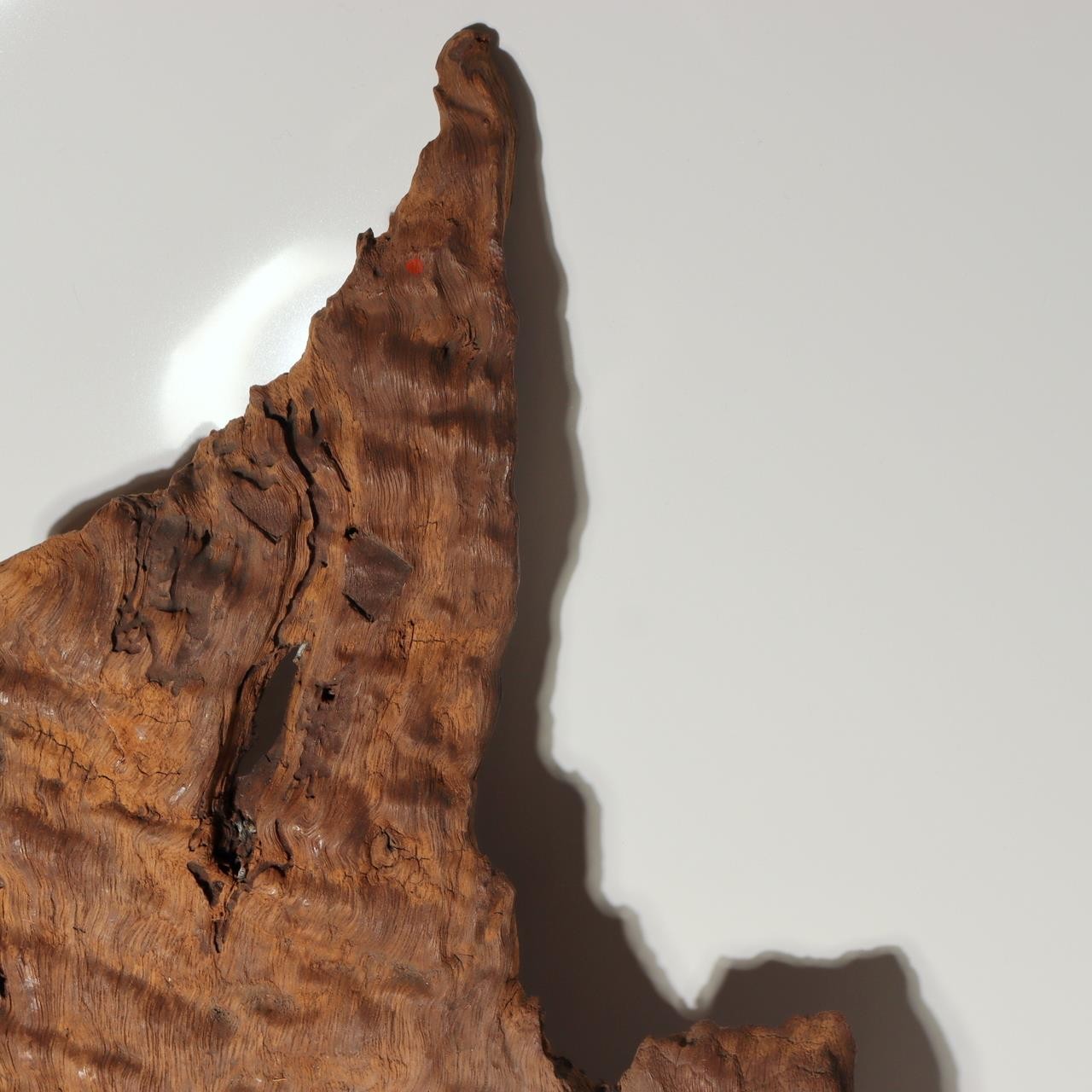 Vintage Japanese Burl Wood Display Stand Wabi Sabi Kanban Sign Fragment WO5377