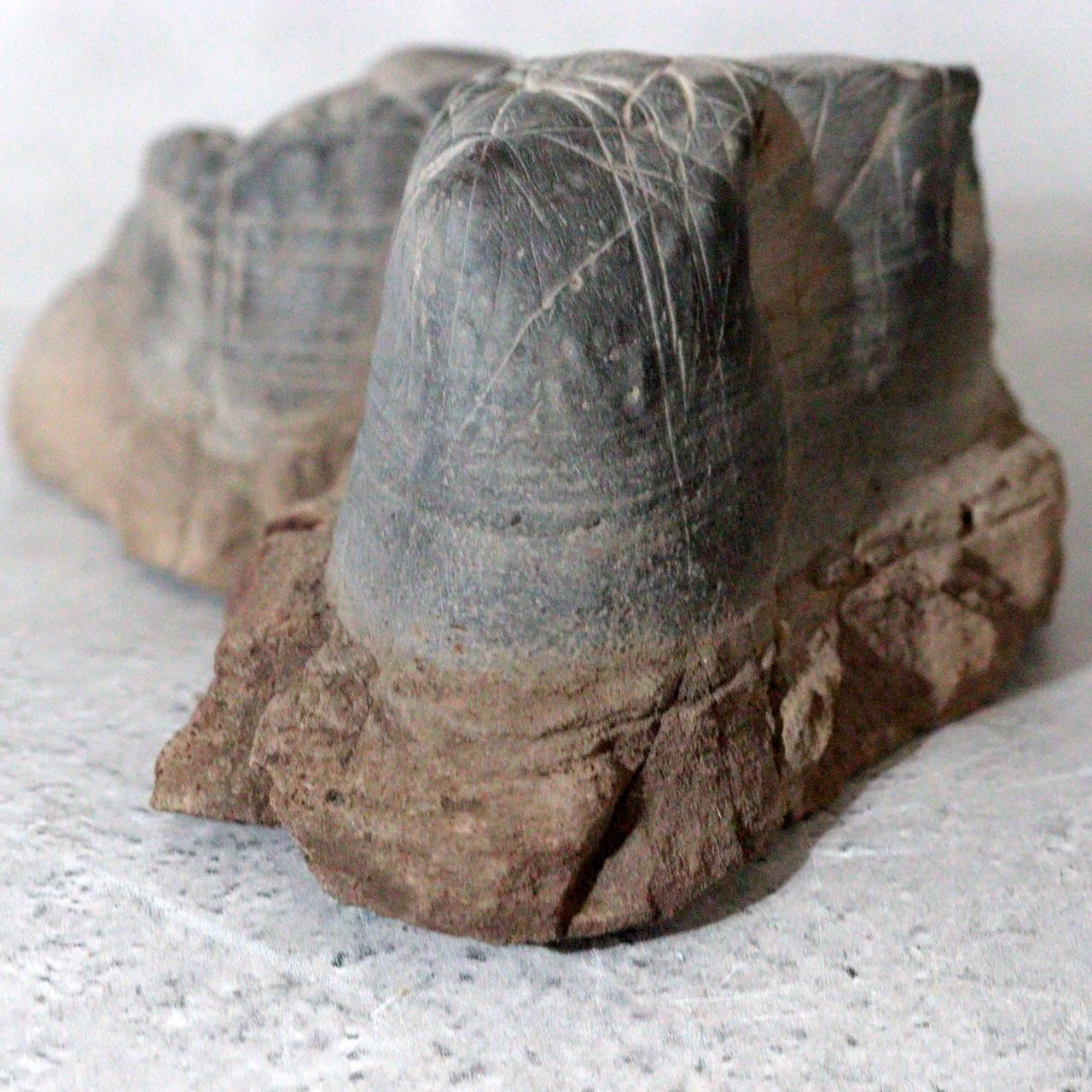 Japanese Suiseki Mountain Viewing Stone Furuya Kamuikotan Style10