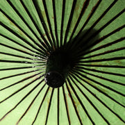 Japanese Wagasa Bamboo Umbrella Green Geisha Maiko Dance Prop Detachable WO50913