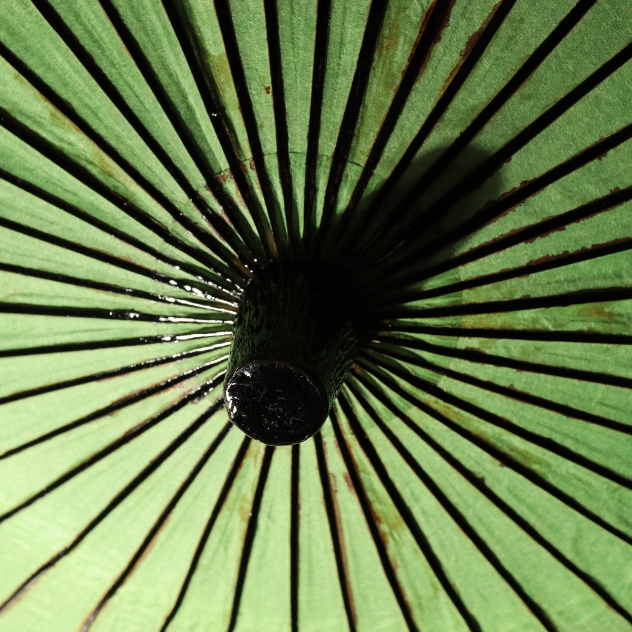 Japanese Wagasa Bamboo Umbrella Green Geisha Maiko Dance Prop Detachable WO50913