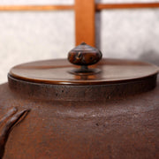Living National Treasure Suzuki Morihisa Nanbu Iron Kettle Rabbit Chagama Box15