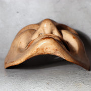 Japanese Wooden Noh Mask Otobide Demon God Gold Eyes Kagura 21cm MSK5292