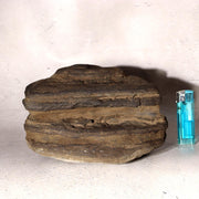 Japanese Suiseki Viewing Stone Natural Cliff Rock Plateau Landscape Heavy 4.5kg11