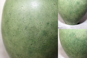 45917894