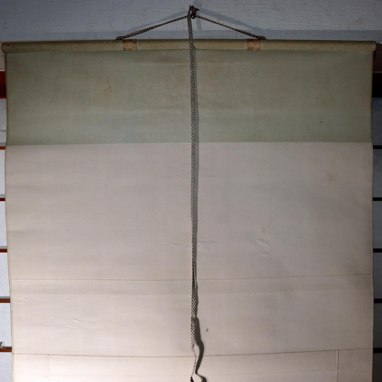 Japanese Silk Hanging Scroll Painting Ayu Sweetfish Seiko Tanoguchi Tomobako12