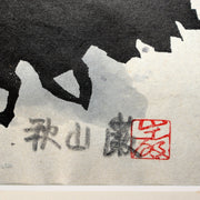 45490629
