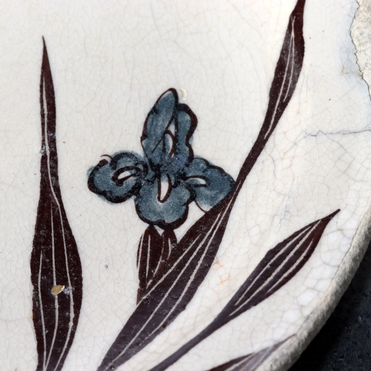 Antique Bakumatsu Seto Ware Ceramic Plate Iris Dragonfly Pattern PCP30614
