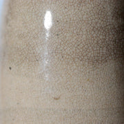 Late Edo Seto Ware Ceramic Sake Bottle Tokkuri Iron Brown Grass Motif PV31715