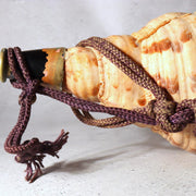 Japanese Horagai Triton’s Trumpet Shell Buddhist Ritual Horn 33cm SG8811