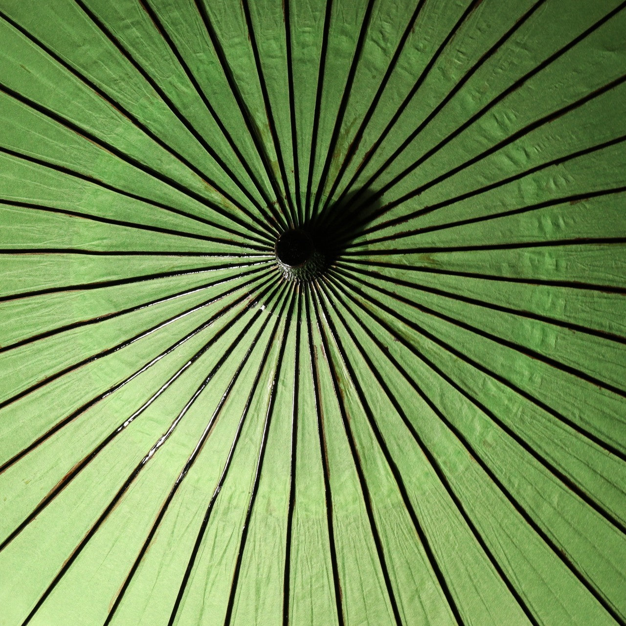 Japanese Wagasa Bamboo Umbrella Green Geisha Maiko Dance Prop Detachable WO50912