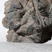 Japanese Suiseki Mountain Viewing Stone Furuya Kamuikotan Style6