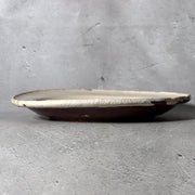 Antique Bakumatsu Seto Ware Ceramic Plate Iris Dragonfly Pattern PCP3063