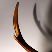 Japanese Deer Antler Sword Stand Katana Kake Stag Horn Natural Wood Burl 47cm9