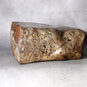 Japanese Suiseki Plum Blossom Stone Premium Baikaseki Viewing Stone Custom Wood12