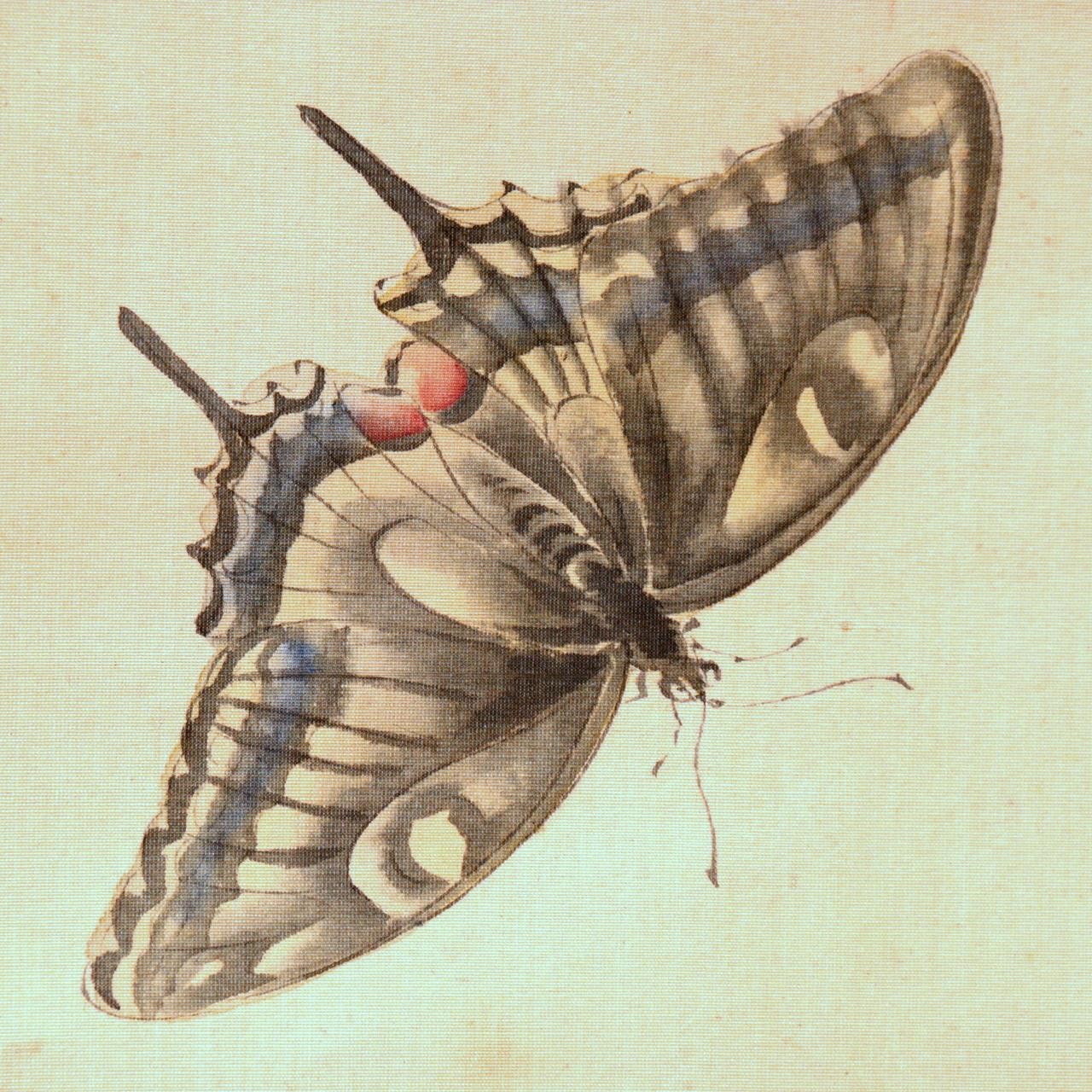 ​Vintage Japanese Hanging Scroll Kakejiku Peony Butterfly ASO4601