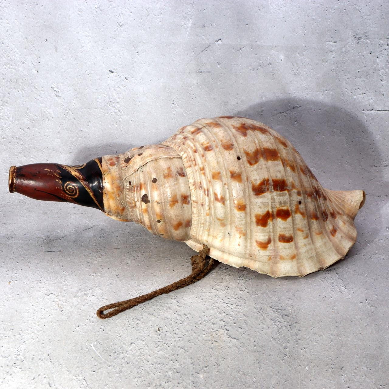 Japanese Horagai Conch Shell Trumpet Lacquered Mouthpiece Gold Swirls Yamabushi1