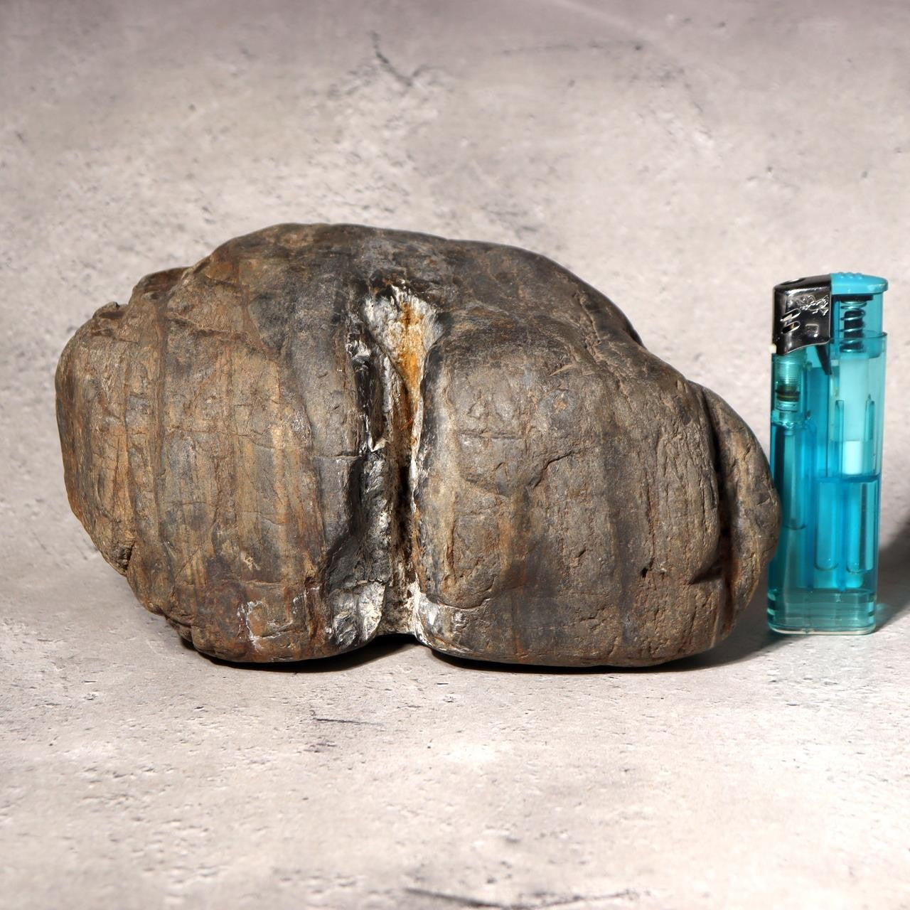 Japanese Suiseki Viewing Stone Natural River Rock White Vein Rustic Zen Art2