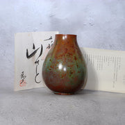 Masterpiece Japanese Bronze Vase Yoshihisa Hasegawa  Nationally Designated0