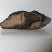 Vintage Japanese Sajigawa Suiseki Viewing Stone "Amanohashidate" Tomobako SS2343