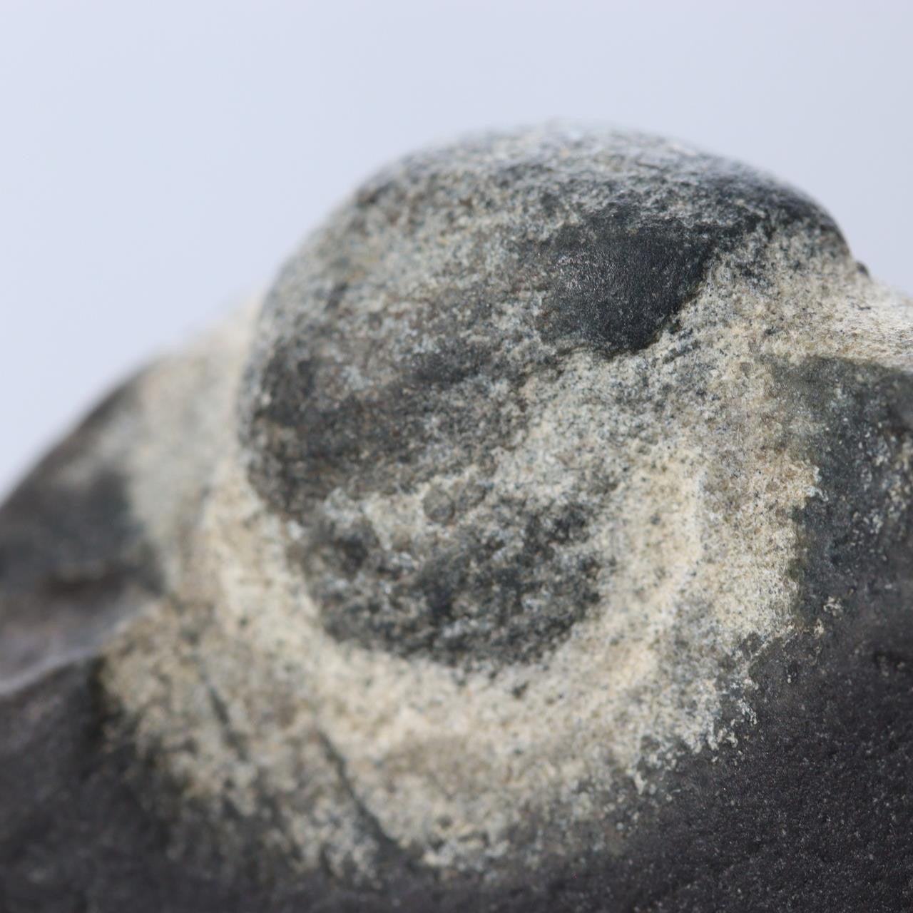 Japanese Pattern Stone Suiseki Buddha Figure Natural Zen Art Possibly Sugata10