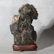 Japanese Suiseki Gifu Kikkaseki Chrysanthemum Stone Wooden Base SS2392