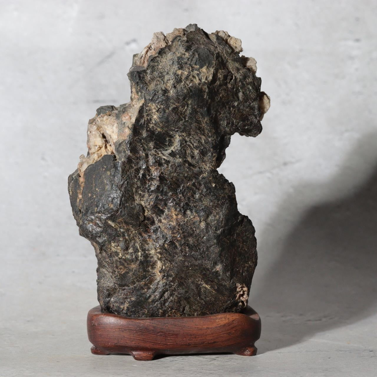 Japanese Suiseki Gifu Kikkaseki Chrysanthemum Stone Wooden Base SS2392