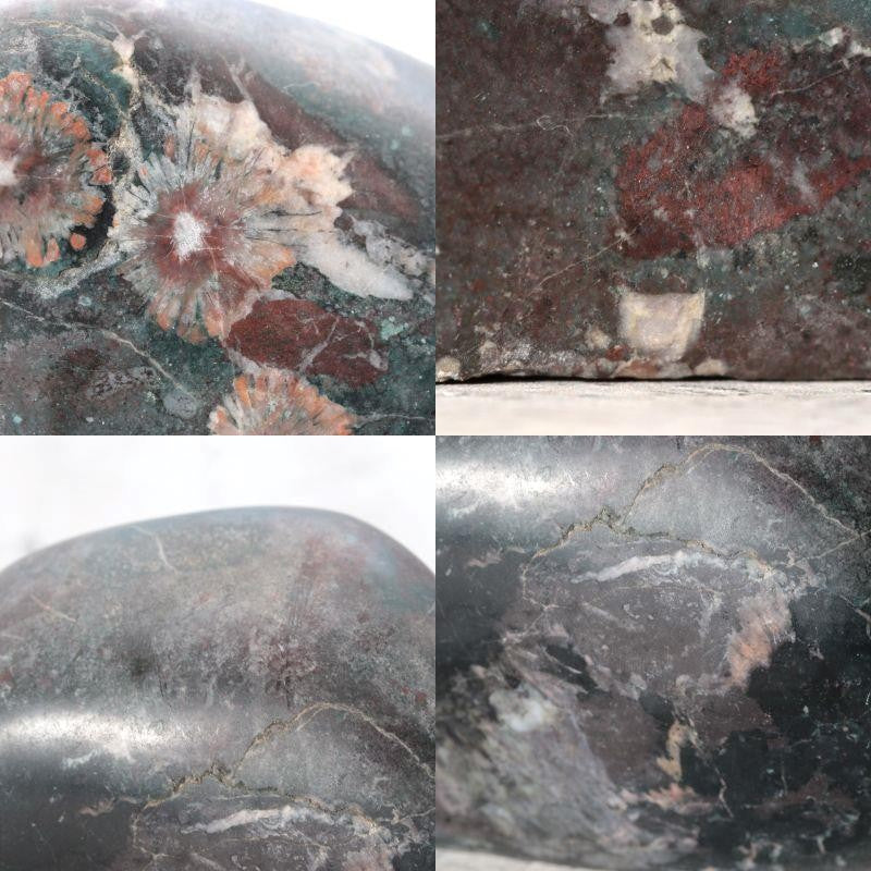 Japanese Suiseki Gifu Kujaku Kikkaseki Chrysanthemum Stone Wooden Base SS2408