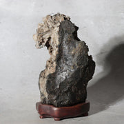 Japanese Suiseki Gifu Kikkaseki Chrysanthemum Stone Wooden Base SS2390