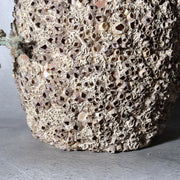 Vintage Japanese Pottery Octopus Trap Takotsubo Barnacles Rope Vase14