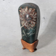 Japanese Suiseki Gifu Kujaku Kikkaseki Chrysanthemum Stone Wooden Base SS2410