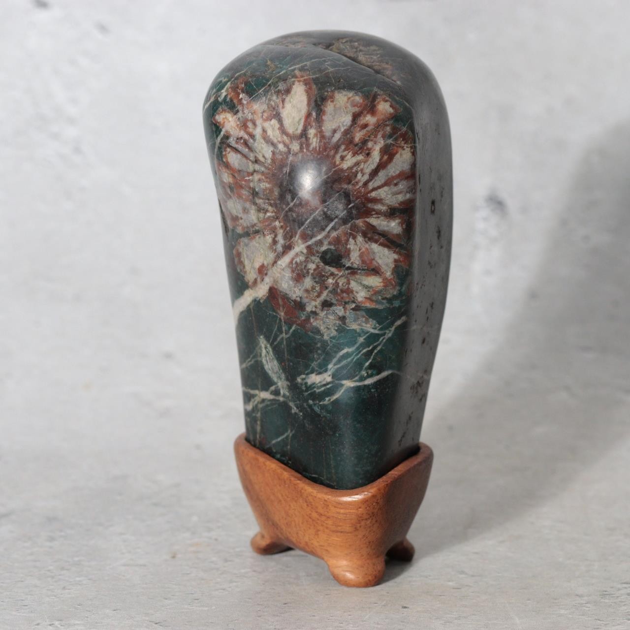 Japanese Suiseki Gifu Kujaku Kikkaseki Chrysanthemum Stone Wooden Base SS2410