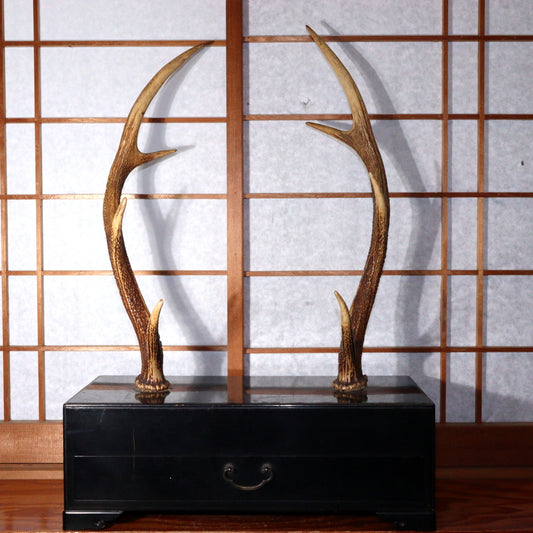 Japanese wooden Sword Rack Stand Deer antlers Kazuno Drawer Meiji era SWR348