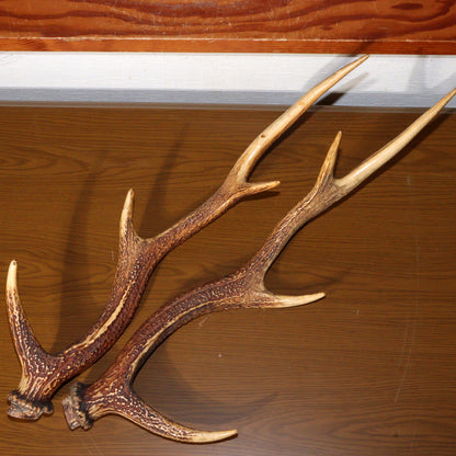 Japanese wooden Sword Rack Stand Deer antlers Kazuno Drawer Meiji era SWR348