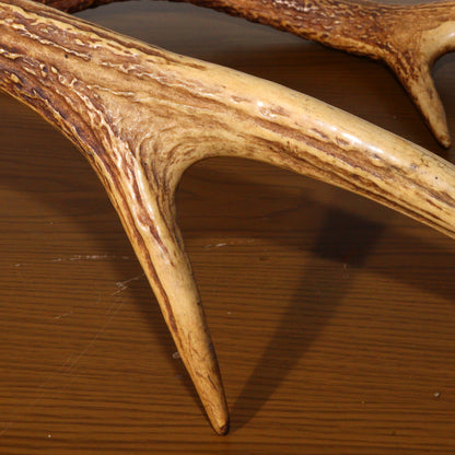 Japanese wooden Sword Rack Stand Deer antlers Kazuno Drawer Meiji era SWR348