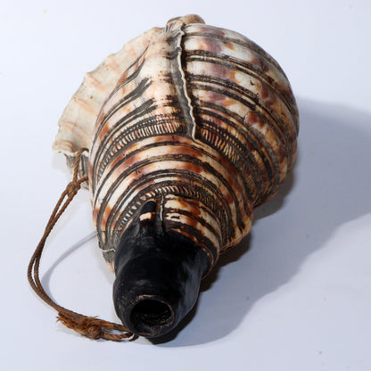 Japanese Antique conch shell trumpet Horagai Yamabushi Shugendo Trumpet SG83