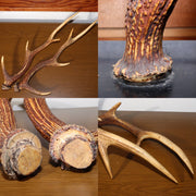 Japanese wooden Sword Rack Stand Deer antlers Kazuno Drawer Meiji era SWR348