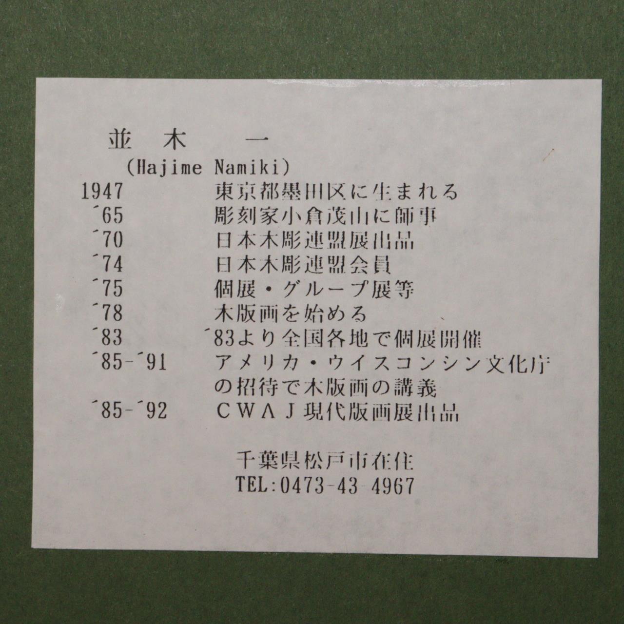 Japanese Hajime Namiki Art Silk screen Woodblock print ASO289