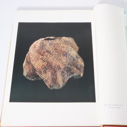 Japanese ceramic Collection Book Okabe Mineo ASO195